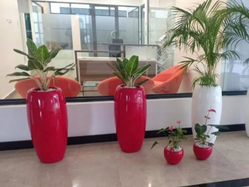 Canna fibre flower pot