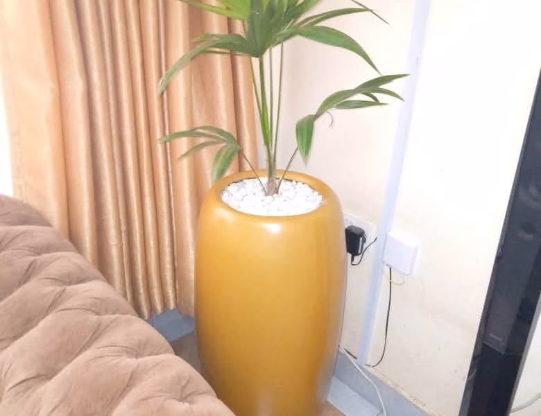 Canna fibre flower pot