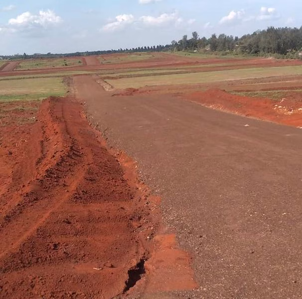 Kifaru meadows estate.