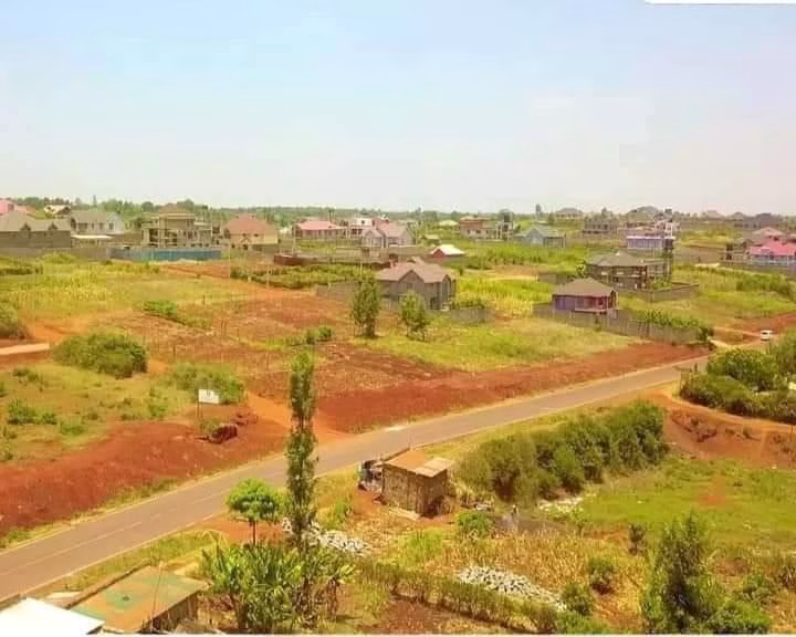 Kifaru meadows estate.