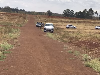 kifaru meadows