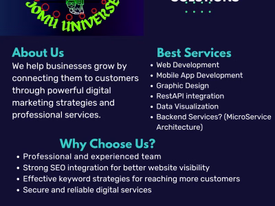 software developer
