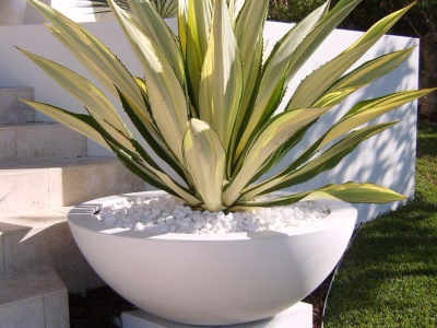 Gardening/ landscaping stones