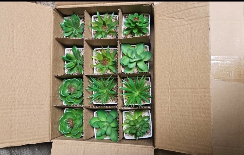Artificial decor succulents