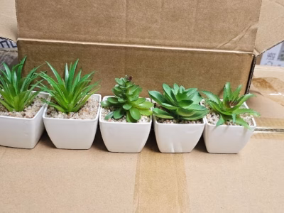Artificial decor succulents
