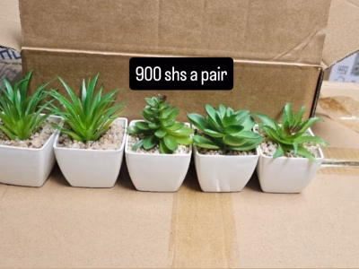 Artificial decor succulents