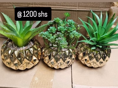 Artificial decor succulents