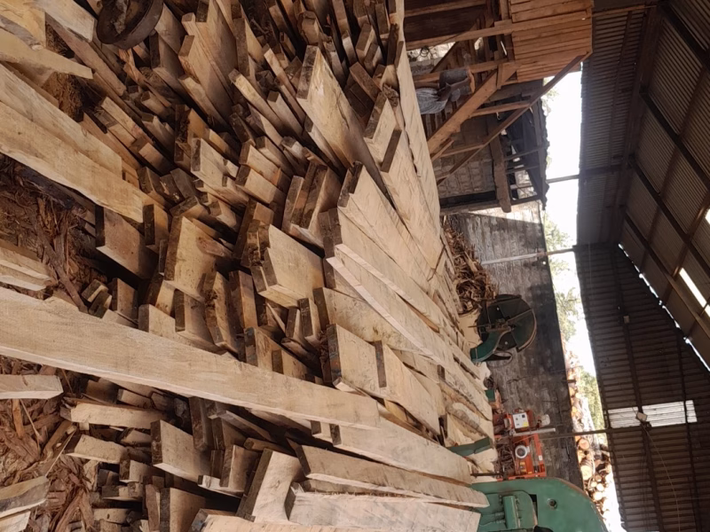 Cyprus timber in BF