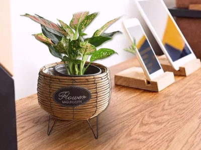 Rattan planter baskets