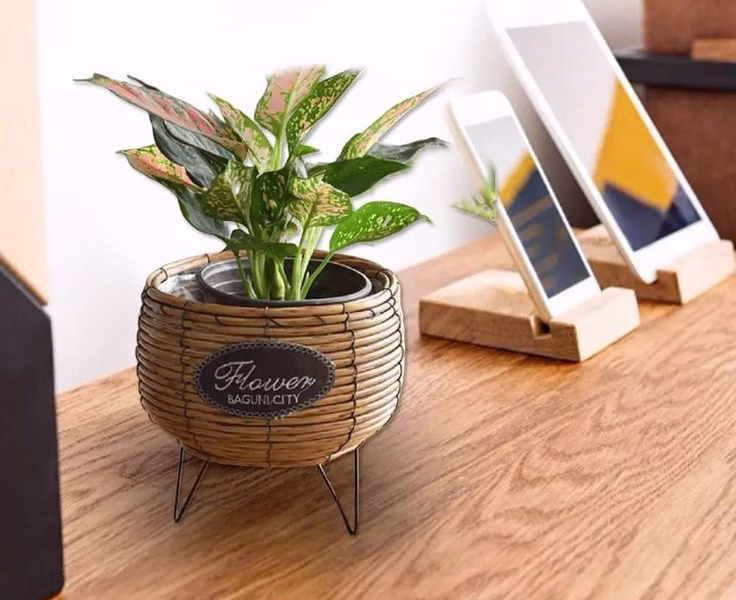 Rattan planter baskets