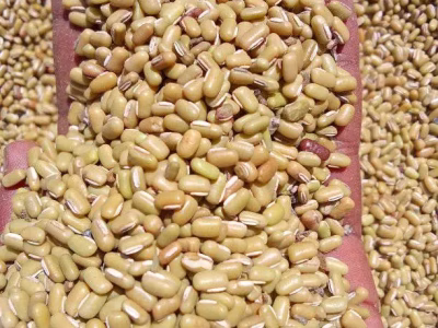 Cereals
