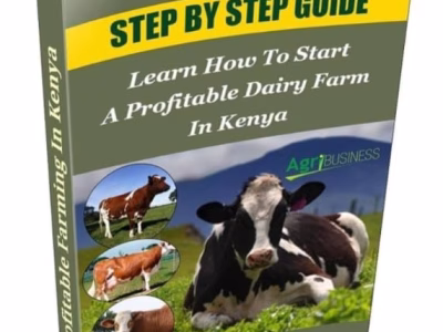 EBOOKS AVAILABLE