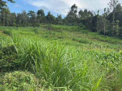2.9Acres in nyeri town, All amenities on site and touching the tarmac.
