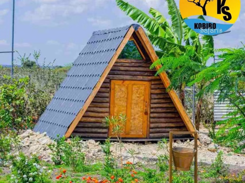 Kobiro safaris