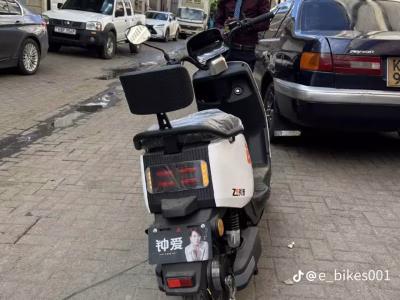 Electric Scooters