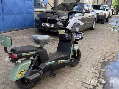 Electric Scooters