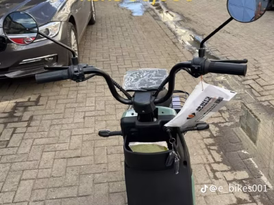 Electric Scooters