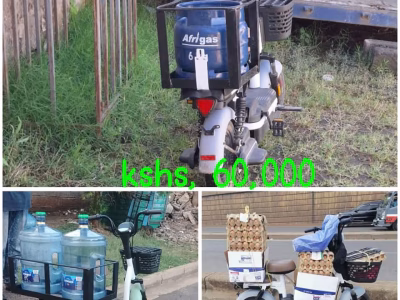 Electric Scooters
