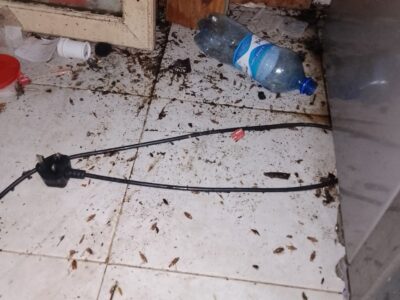 Ignation group cleaning services
