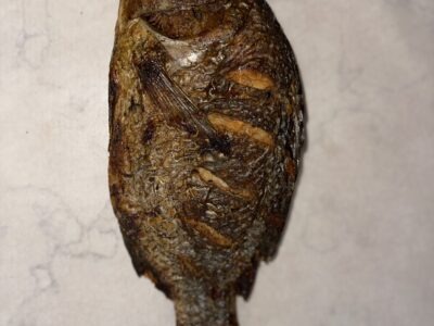 Charcoal roasted fish