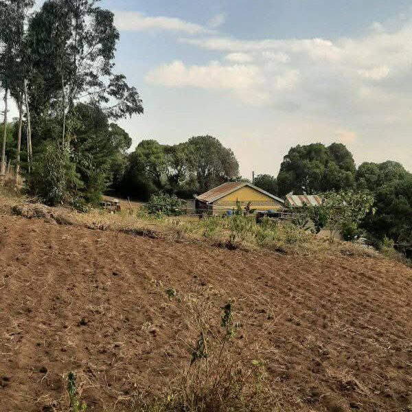 Land for sale