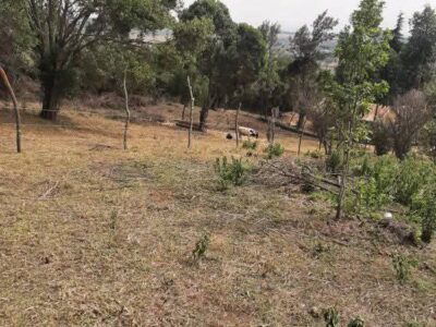 Land for sale
