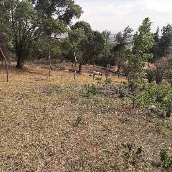 Land for sale