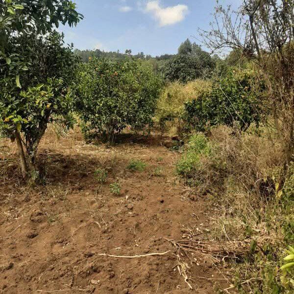 Land for sale